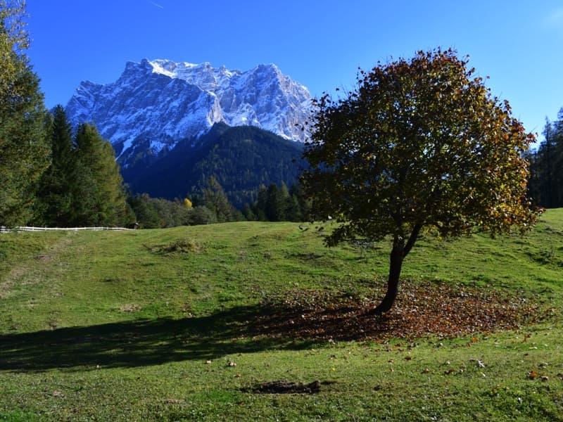 Tiroler Zugspitzarena - Region Ehrwald