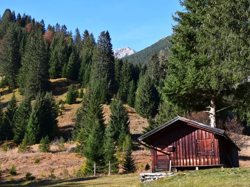 Tiroler Zugspitzarena - Region Ehrwald