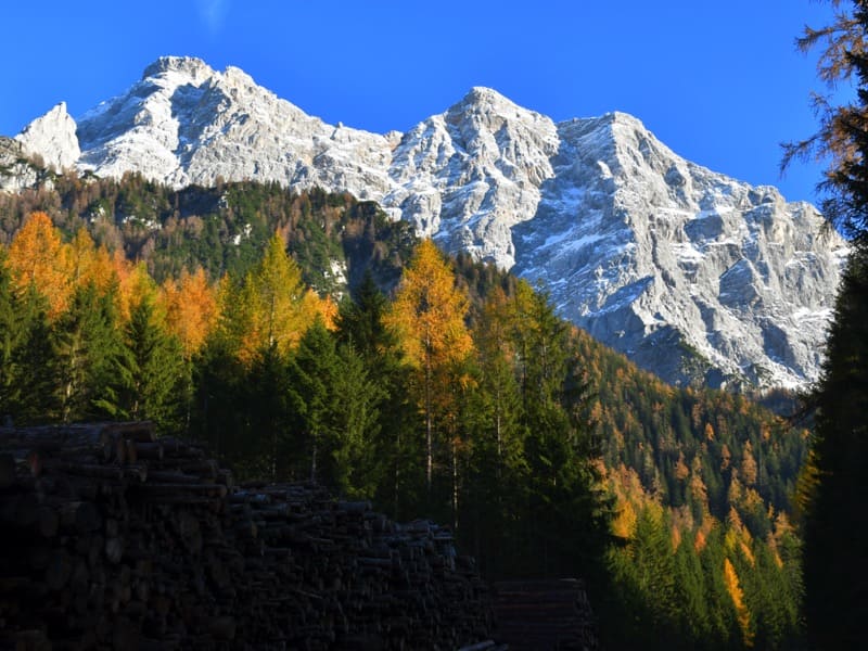 Tiroler Zugspitzarena - Region Ehrwald