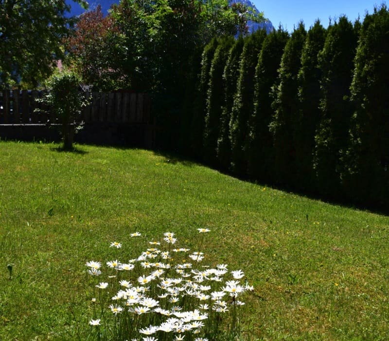 Ferienwohnung Gartenzwerg